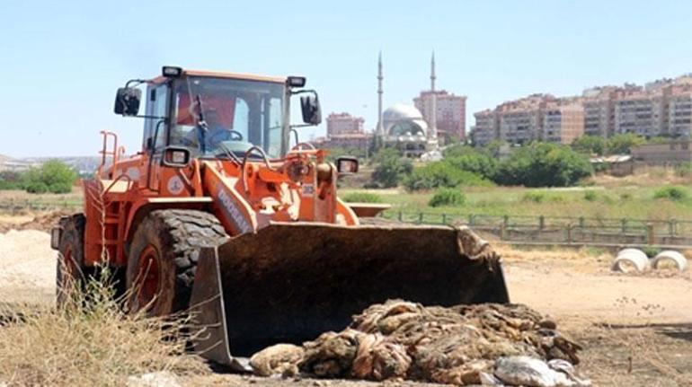 Mide bulandıran manzara Büyük tepki topladı