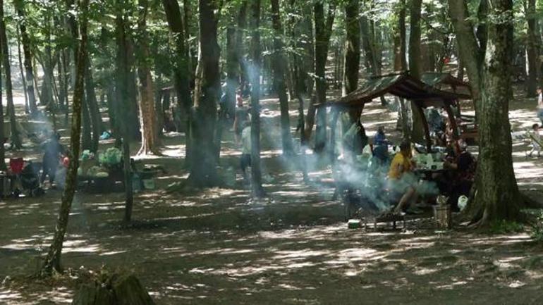 Bayramda İstanbulda kalanlar piknik alanları ve sahillere akın etti