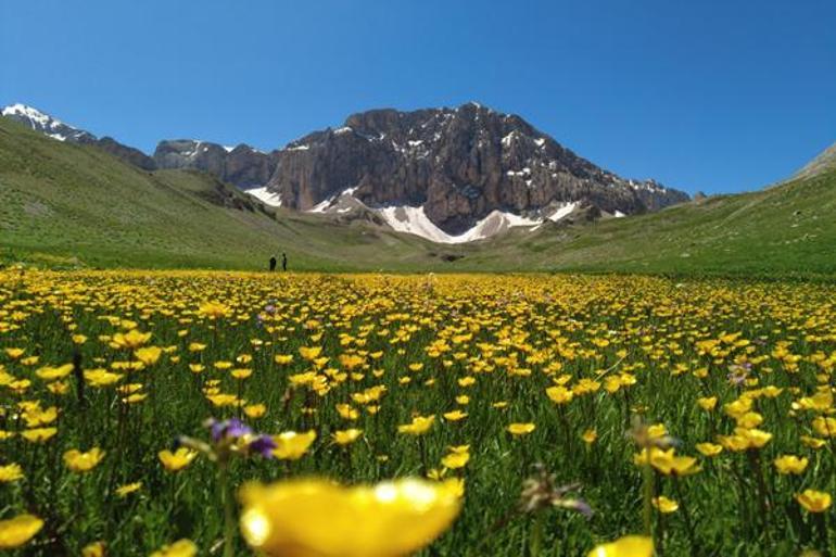 İsviçre Alpleri değil, Türkiyenin saklı cenneti