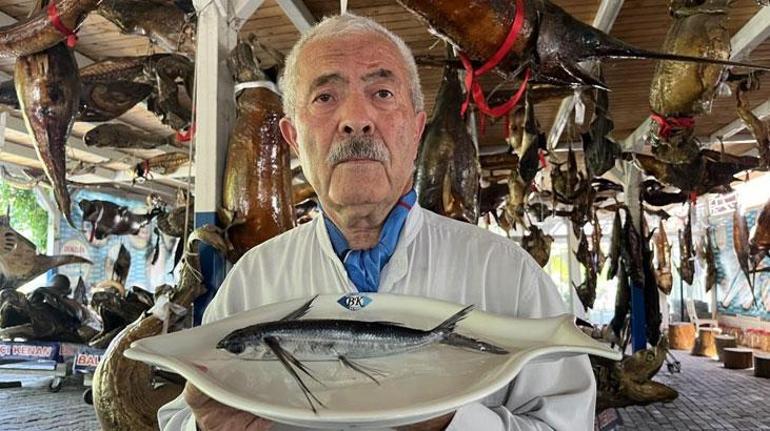 Marmara Denizinde uçan balık yakalandı