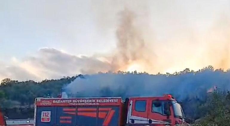 Gaziantep’te meşelik yangını 5 dönümlük alan zarar gördü