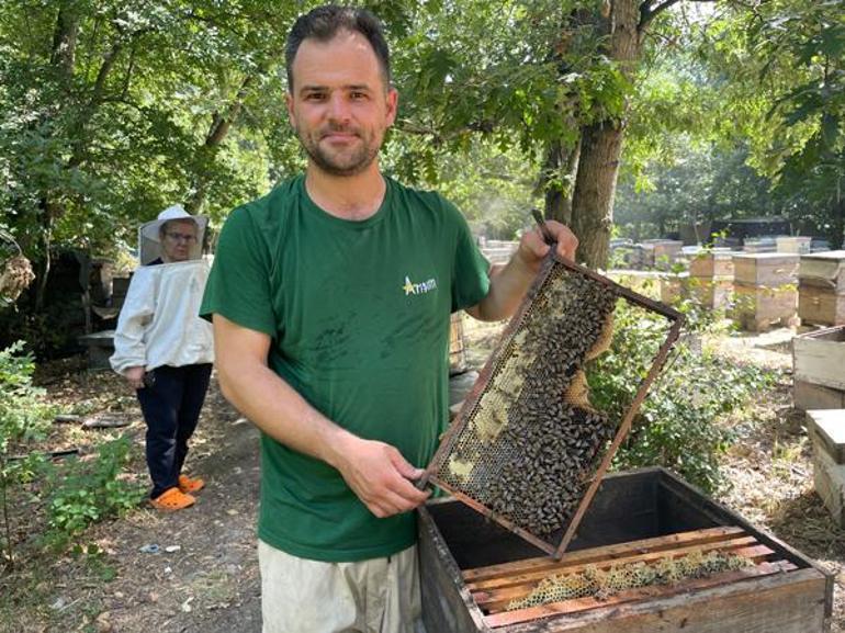 200 arı kovanının arasında keşfetti İçini açtı, hayrete düştü: Gizemi çözmeye çalışıyoruz