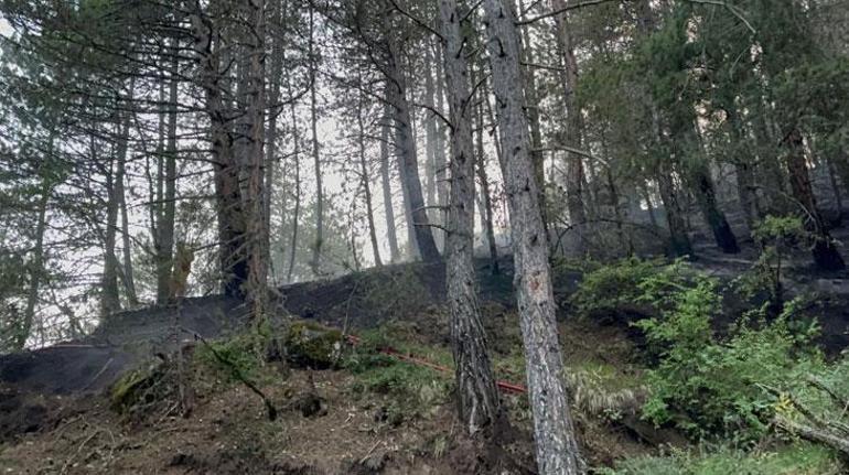 Kastamonuda yıldırım düştü orman yangını çıktı