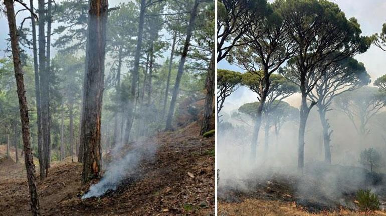 Aydın’daki orman yangınlarından güzel haber Yıldırım kaynaklı çıkmıştı