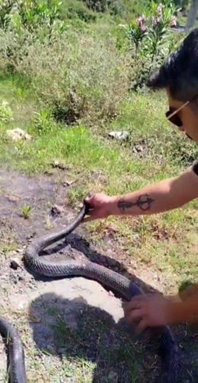 Yılancı Kemal yine yakaladı: İnsanlar senden daha tehlikeli