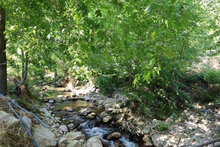 Mevsimlik işçi olarak girdiği belediyeye ‘başkan’ oldu