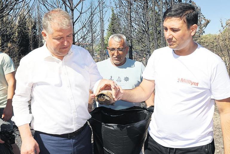 ‘Ormanı temizle yangınlara dur de’