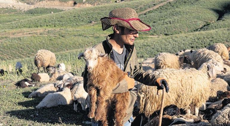 Yaylada 40 yıl sonra koyun ve keçi sesleri