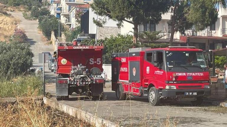 Foça’daki orman yangınının sebebi belli oldu