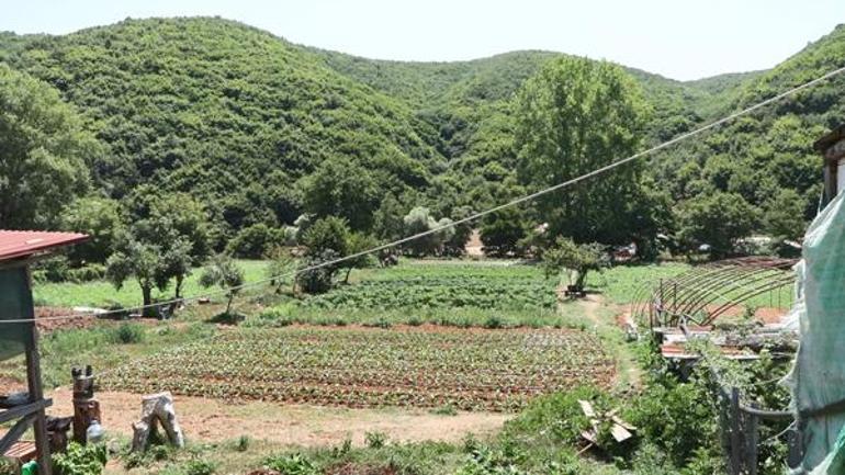 İstanbulda boşaltılmak istenen Pirinççi köyü halkı: Burada doğduk büyüdük, burada öleceğiz