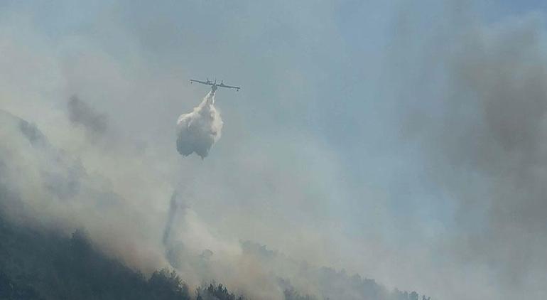 Bodrumda orman yangını Havadan ve karadan müdahale başladı