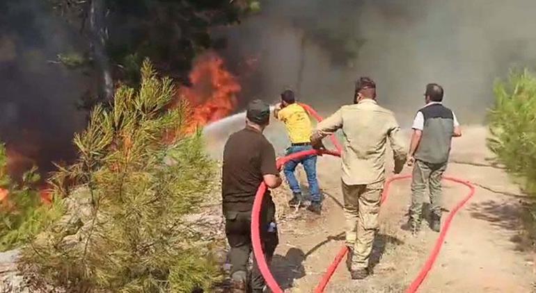 Bodrumda orman yangını Havadan ve karadan müdahale başladı