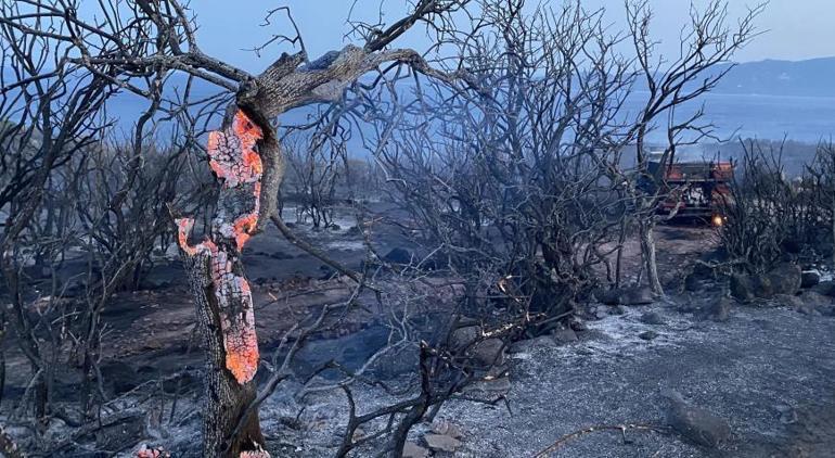 Çanakkalede bir ayda 132 yangın Acı bilanço açıklandı