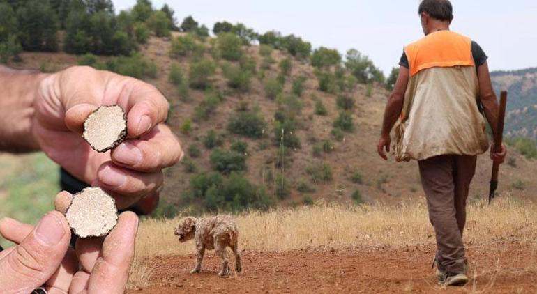 7 yıldır köpeği ile şehir şehir geziyor Dünyanın en pahalı elmasını buluyor