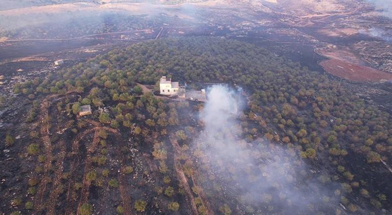 Adıyamandaki örtü yangını kontrol altına alındı