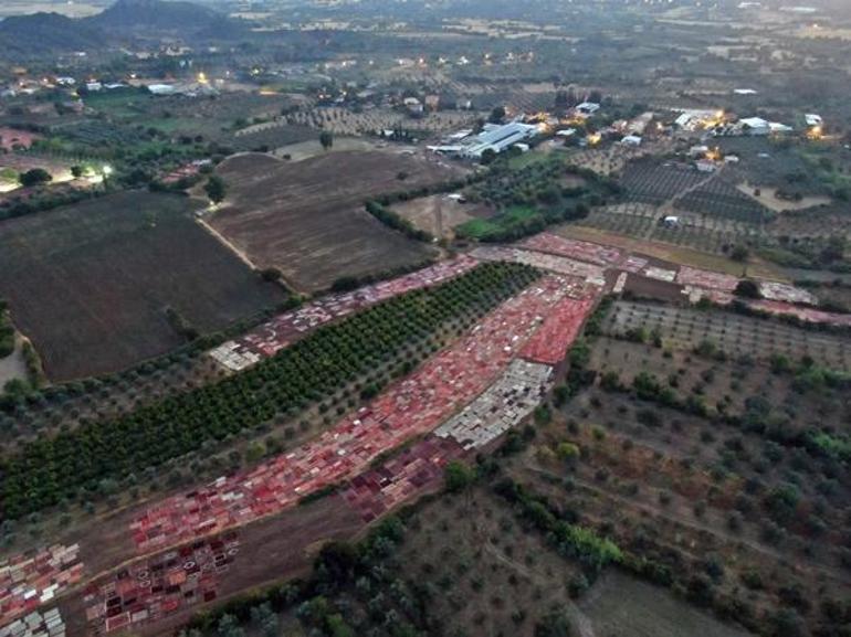 Türkiyenin dört bir yanından toplandı Milyonluk nöbet: Kimseyi yaklaştırmıyorlar