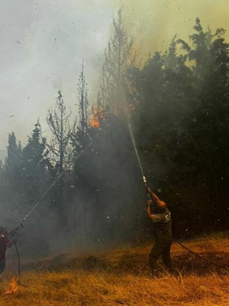 Çanakkalede orman yangını Havadan karadan müdahale