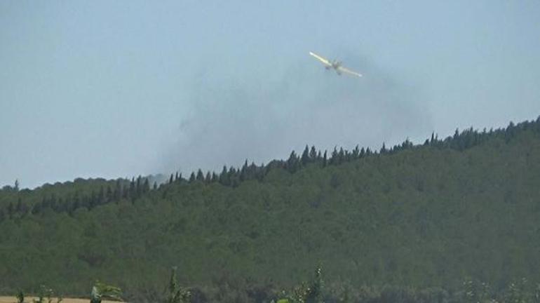 Çanakkalede orman yangını Havadan karadan müdahale