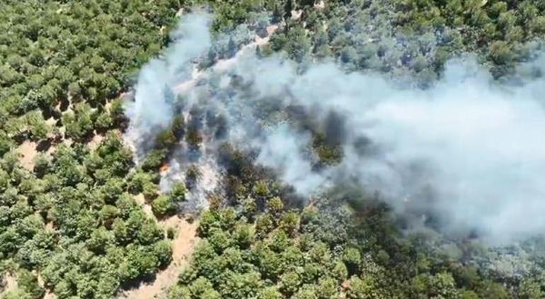 Çanakkalede orman yangını Havadan karadan müdahale