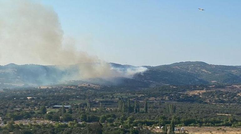 Çanakkale Ayvacıkta orman yangını Rüzgar yangını büyüttü