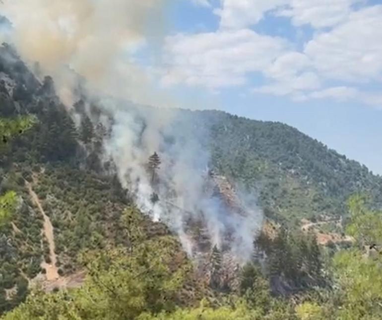 Adanada orman yangını Ekipler müdahale ediyor