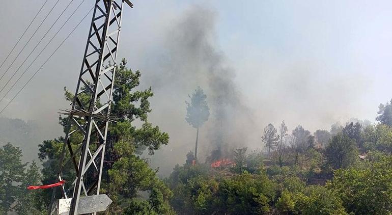 Evde çıkan yangın ormana sıçradı Alevlere müdahale ediliyor