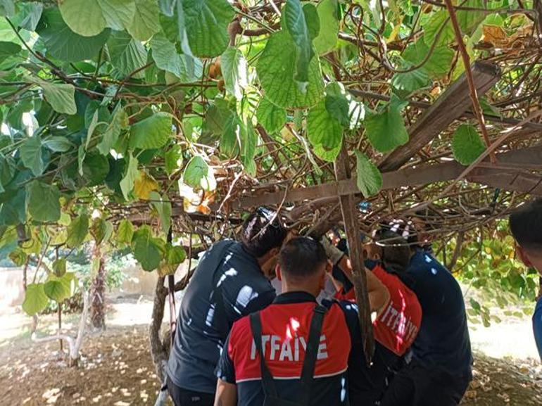 Yalovada inanılmaz olay 5. kattan düşen çocuk mucize eseri kurtuldu