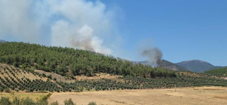 Hatayda orman yangını