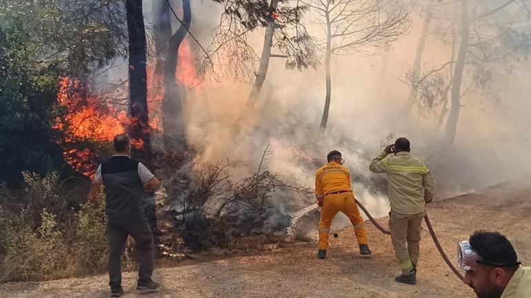 Adanada orman yangını Evler tahliye edildi