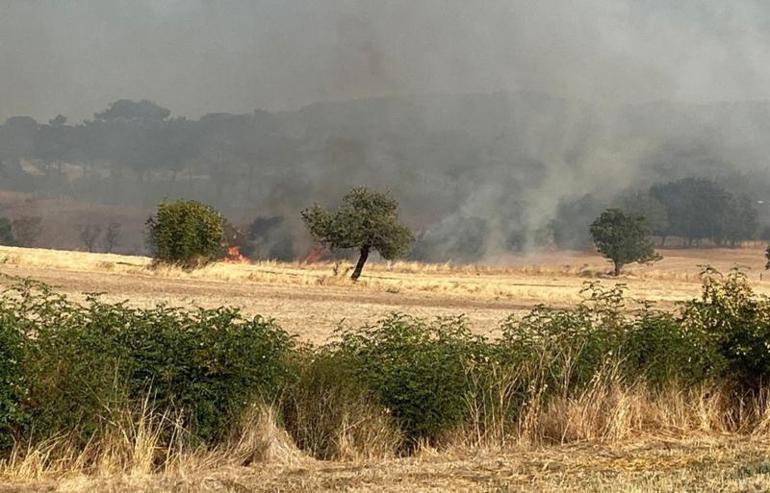 Çanakkale’deki orman yangını kontrol altına alındı Soğutma çalışmaları sürüyor