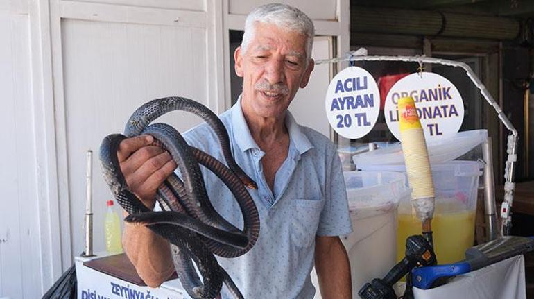 Yılancı Osman şov yaparken ısırıldı: Koynumda bile besliyorum, yılanlarla yatıp kalkıyorum