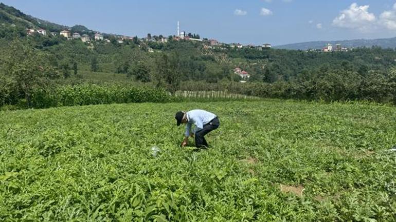 Hangi işe el attıysa zarar etti, sonunda parayı buldu: Talihsiz Temel olarak biliniyordum