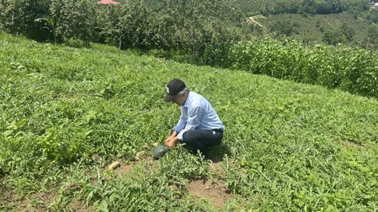 Hangi işe el attıysa zarar etti, sonunda parayı buldu: Talihsiz Temel olarak biliniyordum