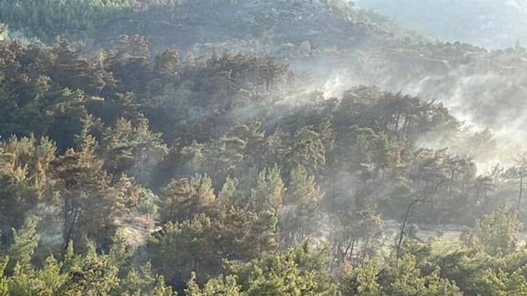 Aydın ve Milastaki orman yangınında 2’nci gün: Alevler yerleşim yerlerine yaklaştı