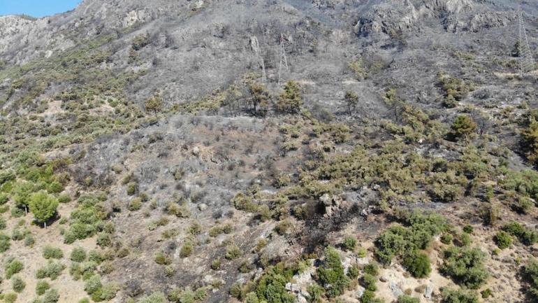 Aydın ve Milastaki orman yangınında 2’nci gün: Alevler yerleşim yerlerine yaklaştı