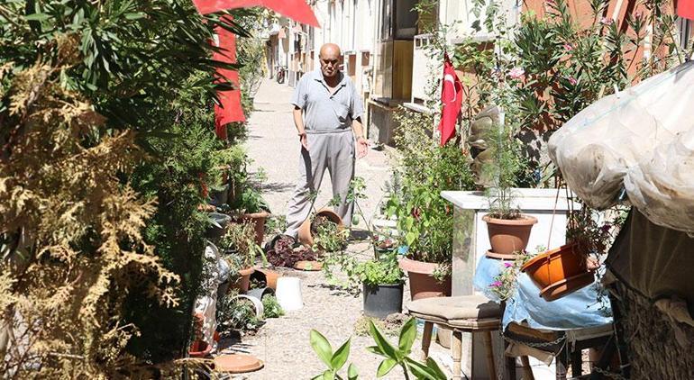 Eşi için kaldırımı bahçeye çevirmişti Komşusu kabusu oldu