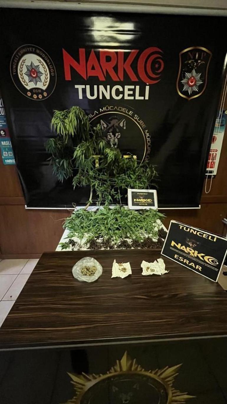 Yer: Tunceli Evin içinde uyuşturucu serası