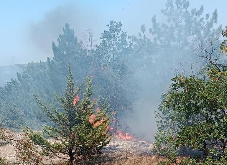 Peş peşe orman yangını Havadan ve karadan müdahale