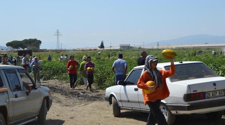 Tamamı ücretsiz Duyan tarlaya koştu Tam 600 ton