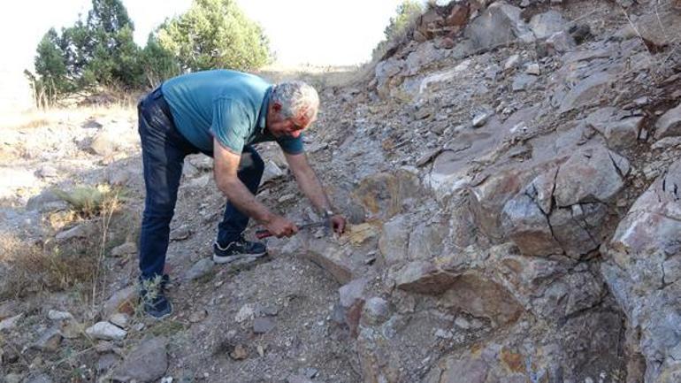 Kazmayı vurdukları her yerden çıkıyor: Derinliklere indikçe değeri artıyor