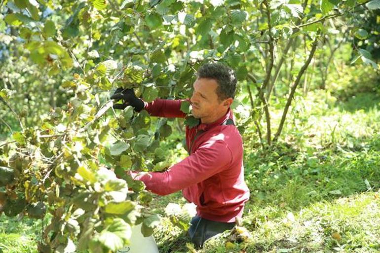 Doğuştan belden aşağı yok ama hayatı herkese örnek oldu