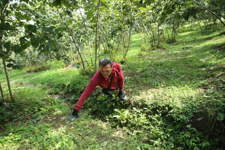 Doğuştan belden aşağı yok ama hayatı herkese örnek oldu