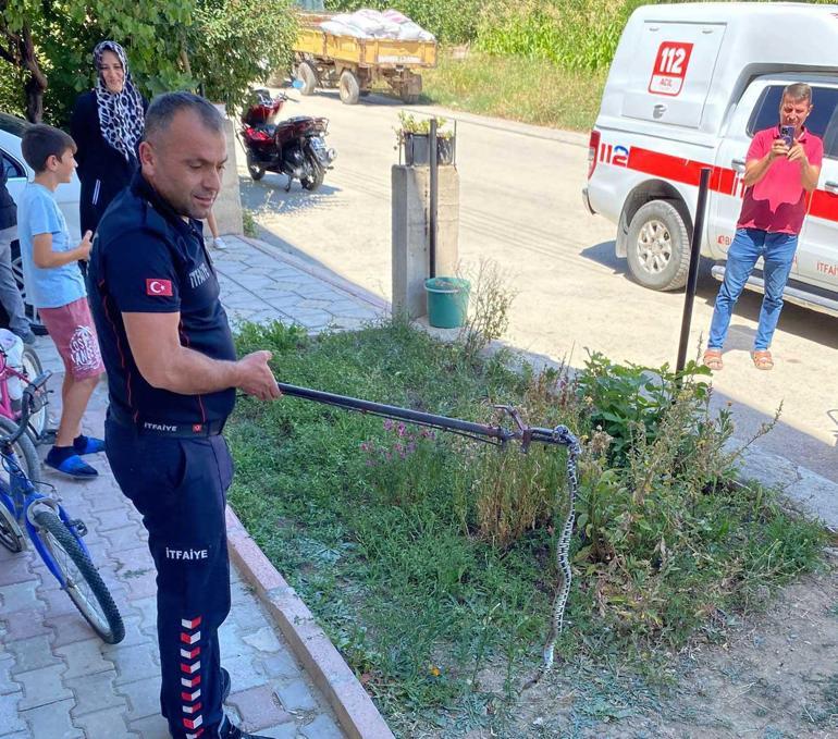 Çamaşır makinesini çalıştırdı, içindeki yılanı görünce şoke oldu