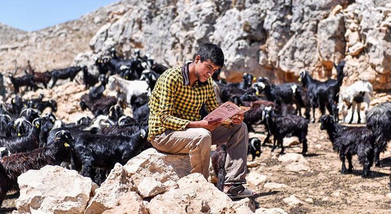 Çobanlık yaptı, ailesine yardım etti Yörük Mustafanın üniversite hayali gerçek oldu