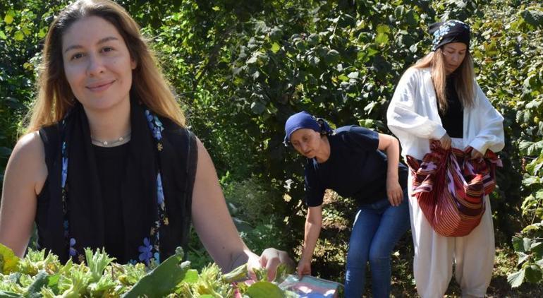 Bir yazılım mühendisinin fındık mesaisi İstanbul ve ABDde eğitim aldı