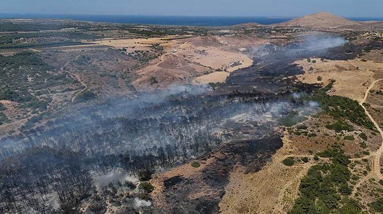 Bozcaadada otluk yangını Ateşe veren kişinin görüntüleri ortaya çıktı