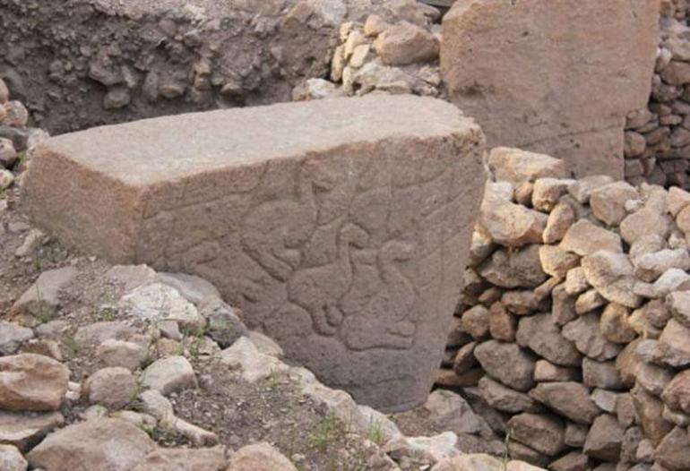 Göbeklitepeden yükselen dut ağacının sırrı 12 bin yıllık soruya cevap aranıyor