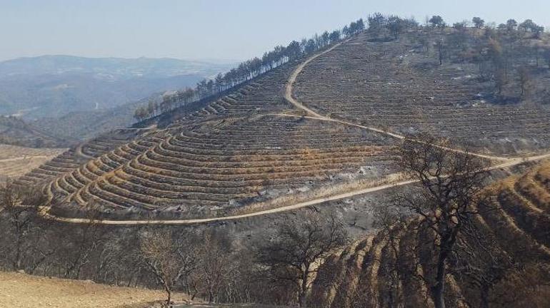 Manisada çıkan yangından etkilendi Dehşet anlarını anlattı: Canımızı zor kurtardık