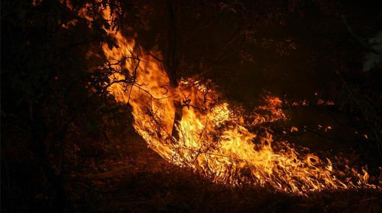 Uşakta iki noktada yangın Müdahale sürüyor