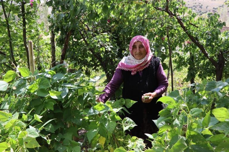 72 yaşındaki Fikriye Nine muhtar oldu, hizmetleri bir bir sıraladı